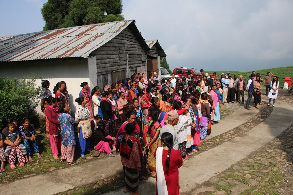 कन्याम चिया बगानका अस्थायी मजदुरले अझै पाएनन् श्रम ऐन अनुसार ज्याला