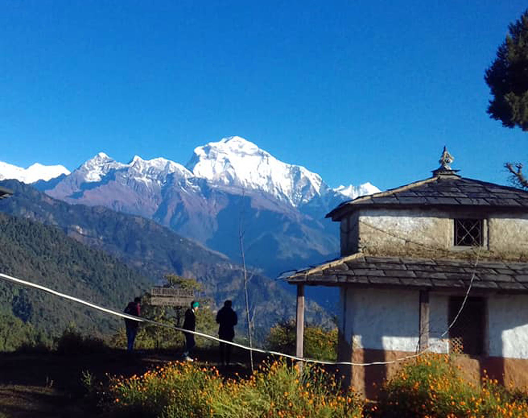 कस्तो छ धौलागिरि  हिमाल ?