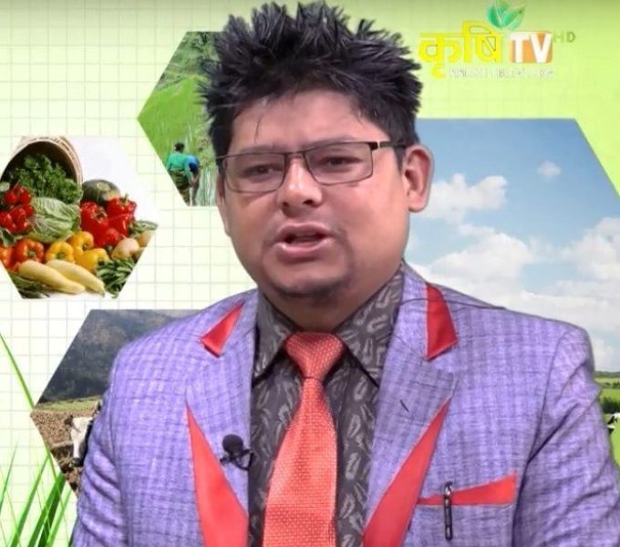 फलफूलमा आत्मनिर्भर कसरी बन्ने ?