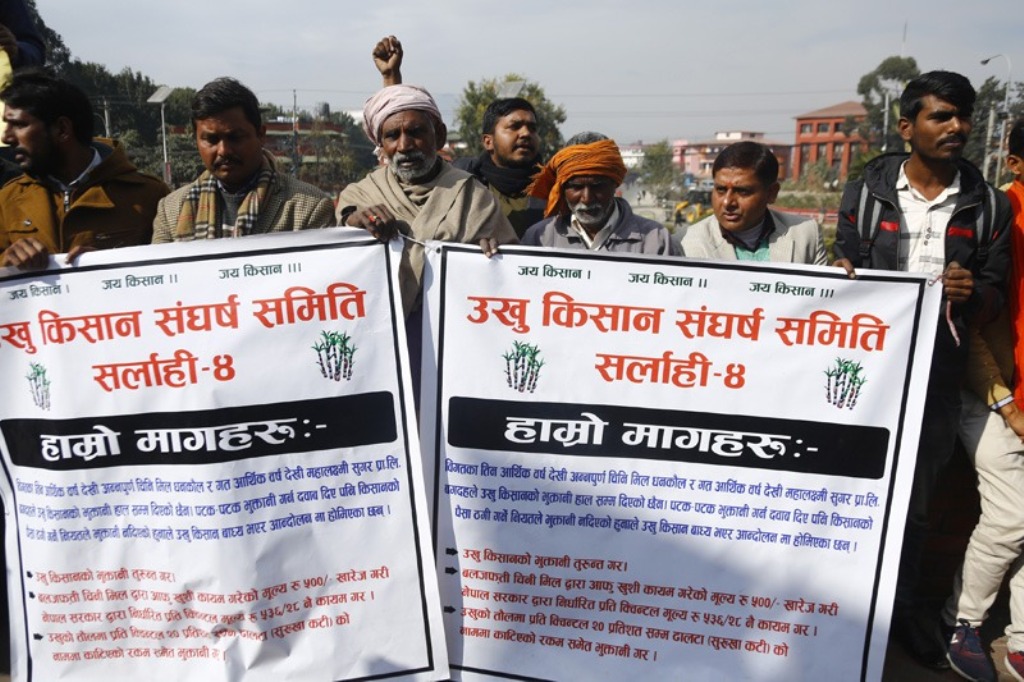 उखु किसानलाई भुक्तानी गर्न दिएको समय आज सकिदैं, पाएनन् पुरै भुक्तानी