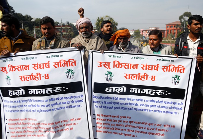 आन्दोलन गर्दा गर्दै उखु किशानले ज्यान गुमाए तर फेरी पनि सम्झौता अनुसार पैसा पाएनन्