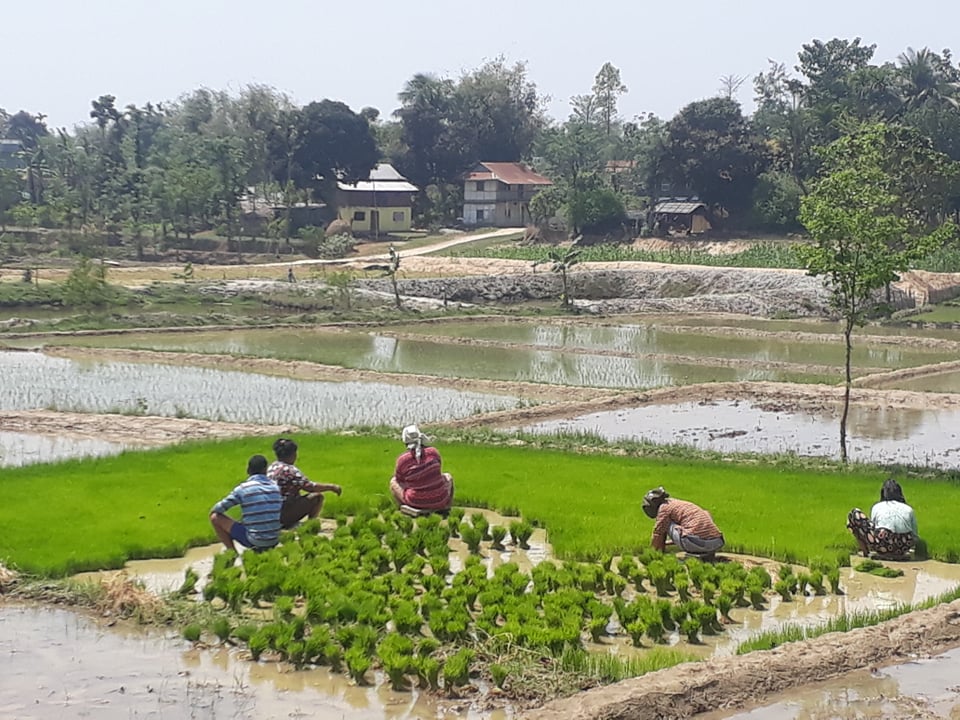 लकडाउन: शहरका मानिस कोठा भित्र, गाँउका खेतबारीमा