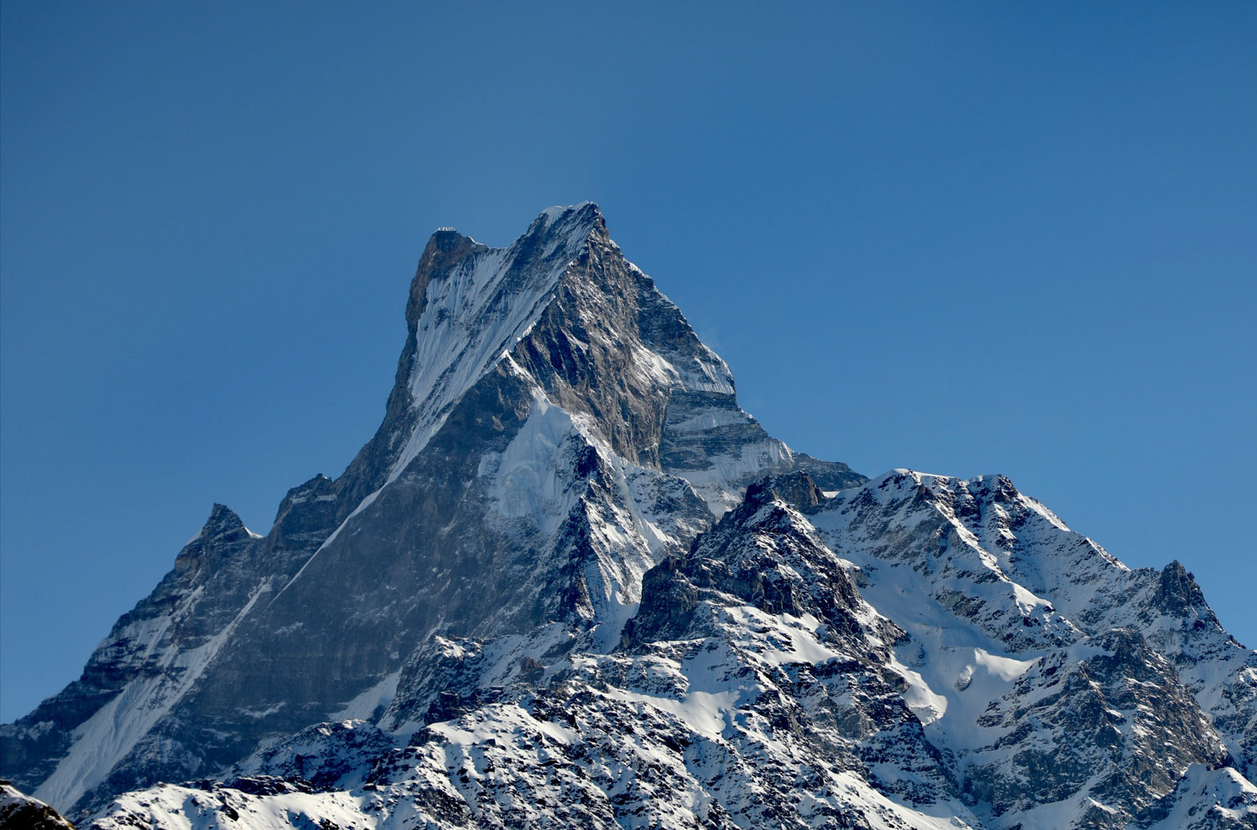 हाम्रो माछापुच्छ्रे, राम्रो माछा पुच्छ्रे !
