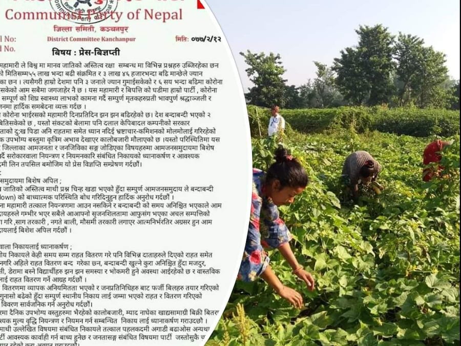 आत्मनिर्भर तर्फ उन्मुख हुन नेकपाकाे आब्हान