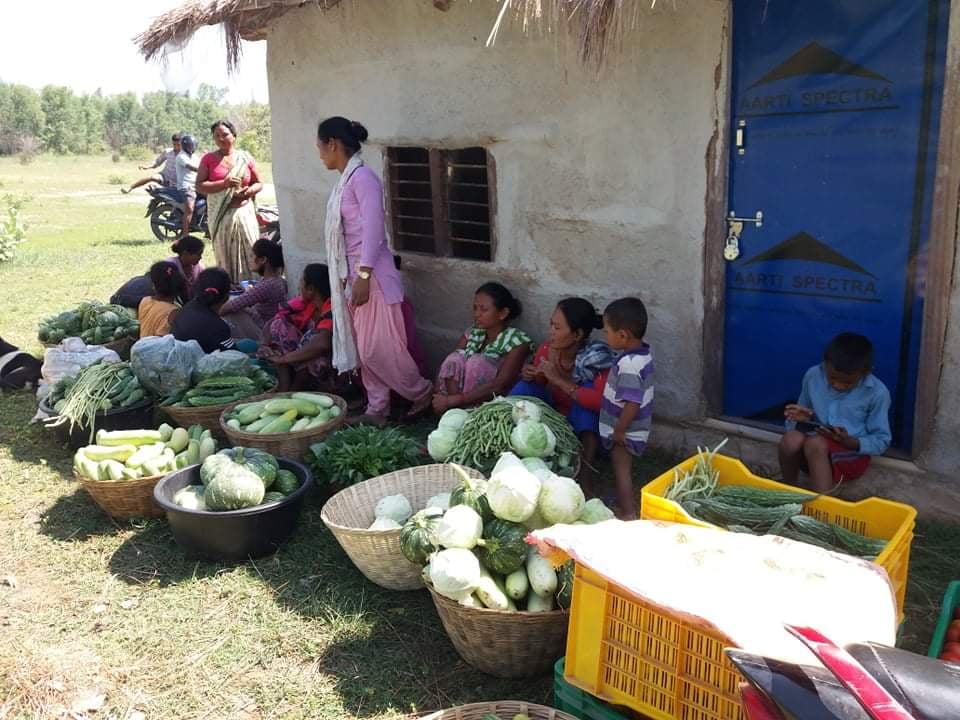 कृषि ज्ञान केन्द्रको समन्वयमा तरकारी बजार व्यवस्थापन