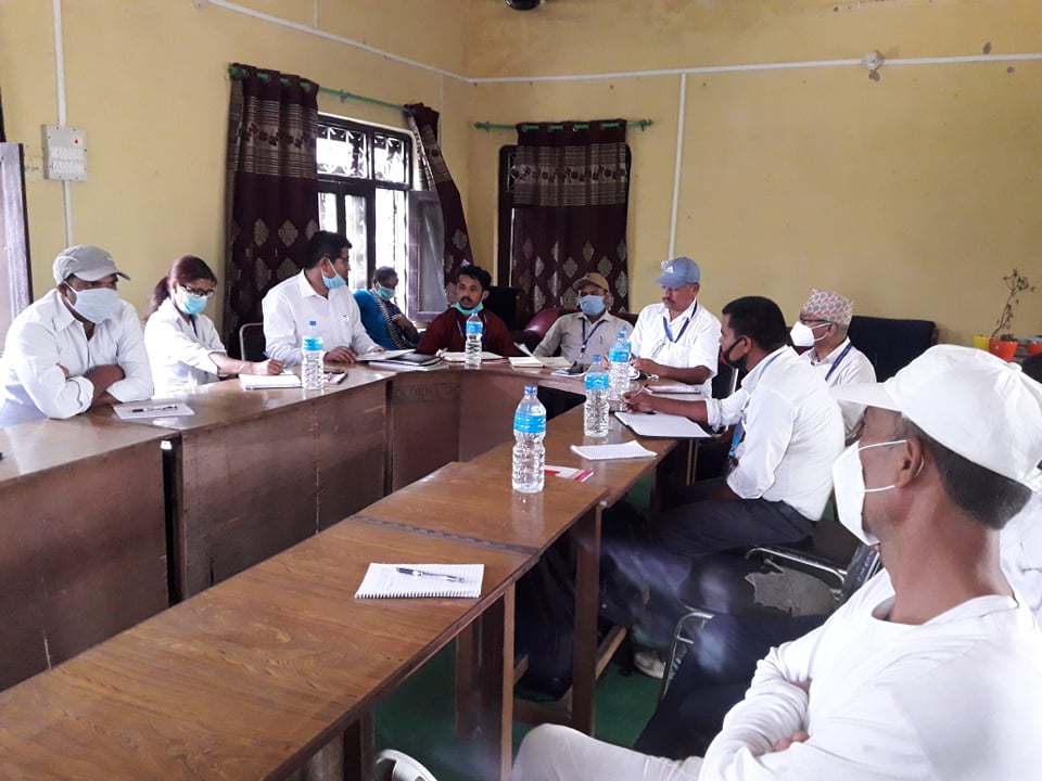 लकडाउनले थलिएका किसानलाई अर्को संकट, खेतबारीमा फौजी किराको आतंक