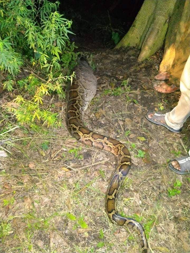 कृष्णपुरको चुरे क्षेत्र बाट लोपोन्मुख अंजिङगर गाउँ पस्यो !