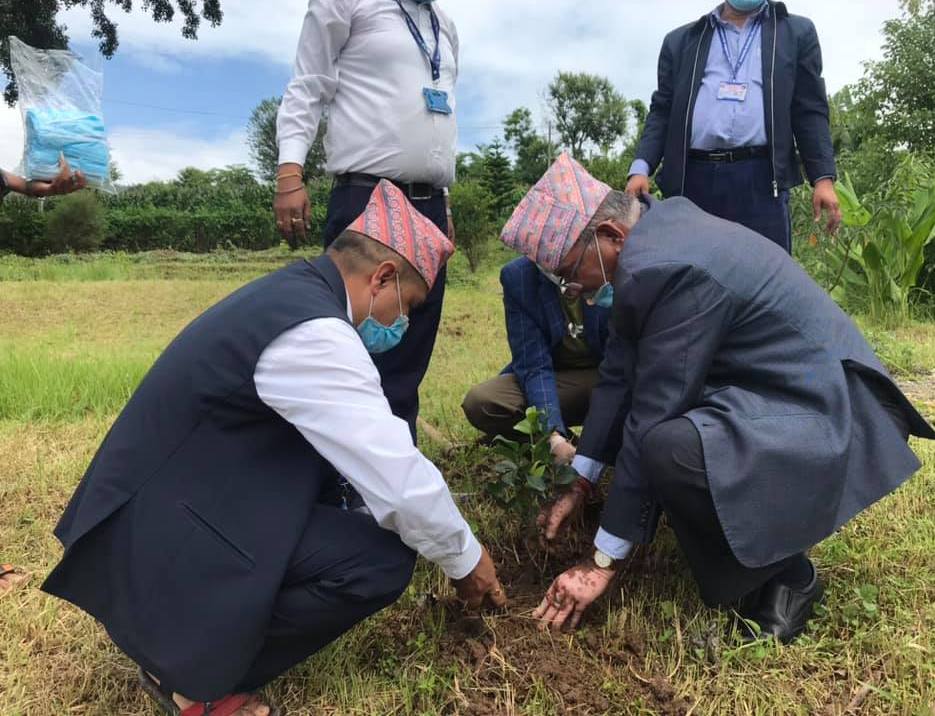 काभ्रे नमोबुद्धको पौडेलचौरको स्मृतिपार्कमा नगर प्रमुख तिमिल्सिनाको अगुवाईमा वृक्षरोपण