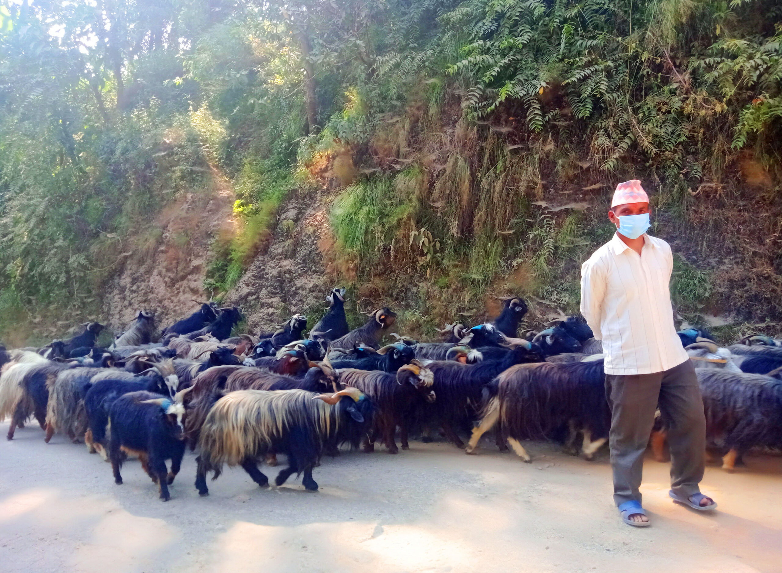 मुस्ताङको च्याङग्रा