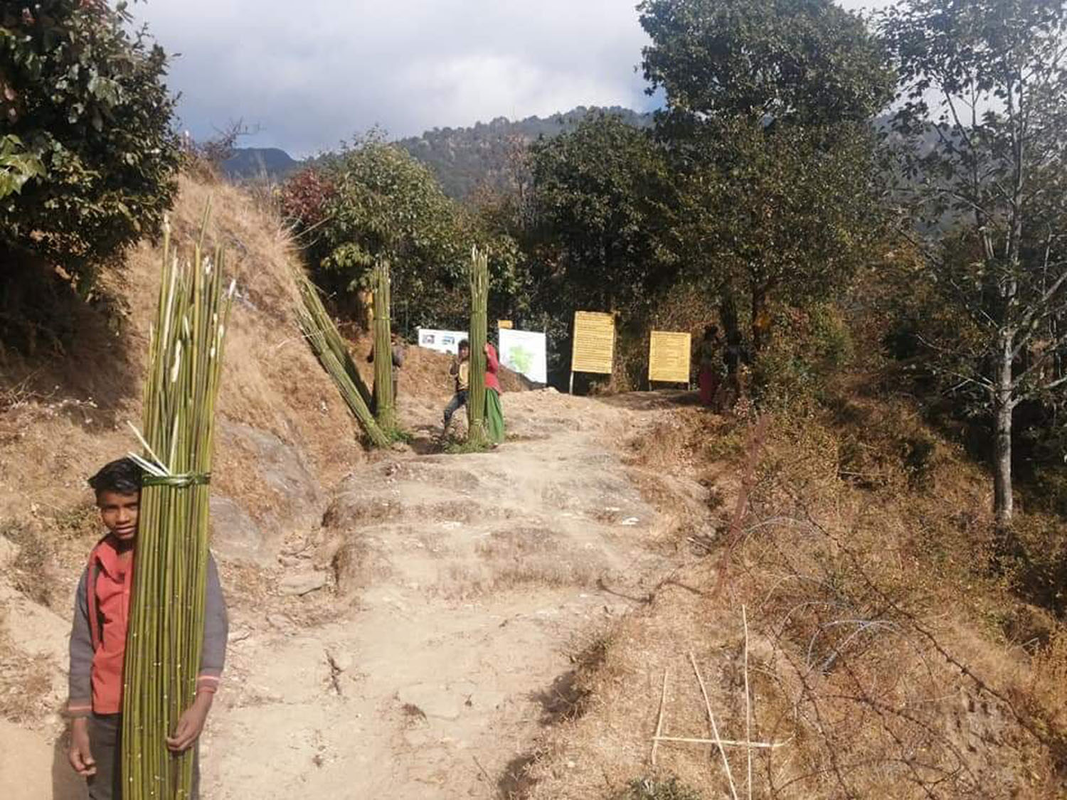 निगालो लैजादै