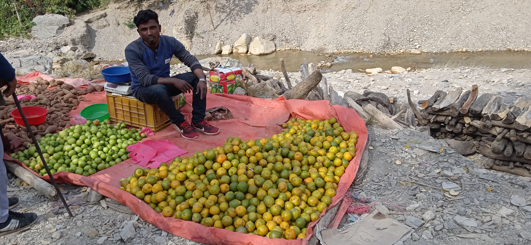 एउटै गाउँबाट रु दुई करोडभन्दा बढीको सुन्तला बिक्री