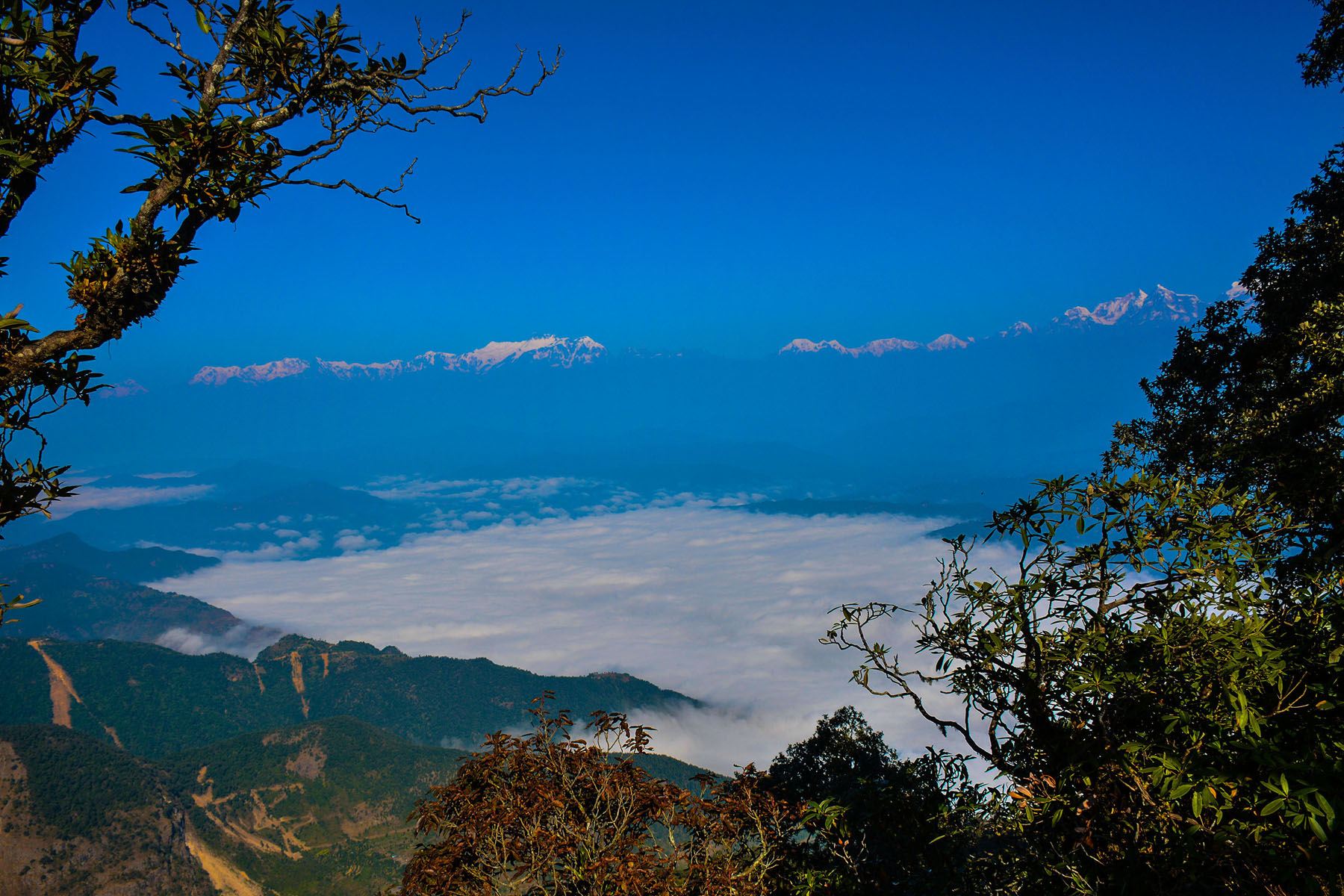 छिम्केश्वरीबाट देखिएको कुहिरो र हिमाल