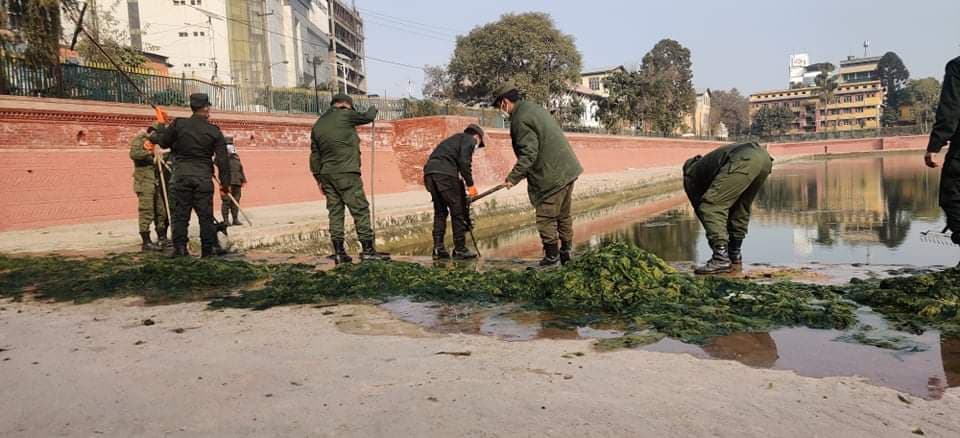 रानीपोखरीको लेउ र झ्याउ हटाई चिटिक्क बनाउँदै महानगरपालिका
