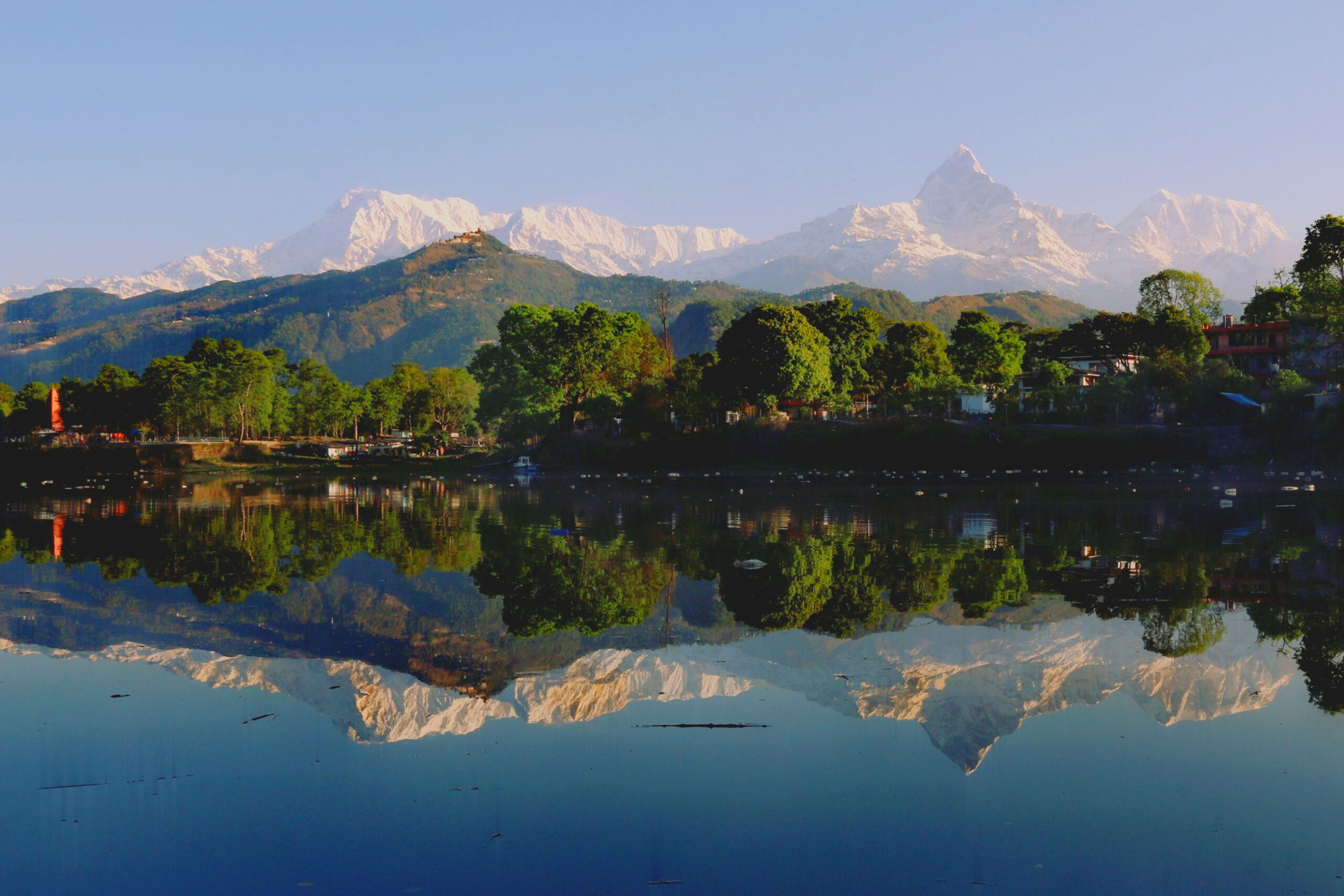 फेवातालमा माछापुच्छ्रेको छायाँ