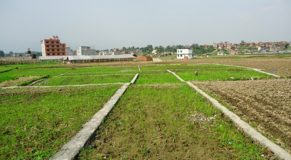घरजग्गा कारोबारः सबैभन्दा बढी झापामा हुँदा अन्य जिल्लामा कति ?