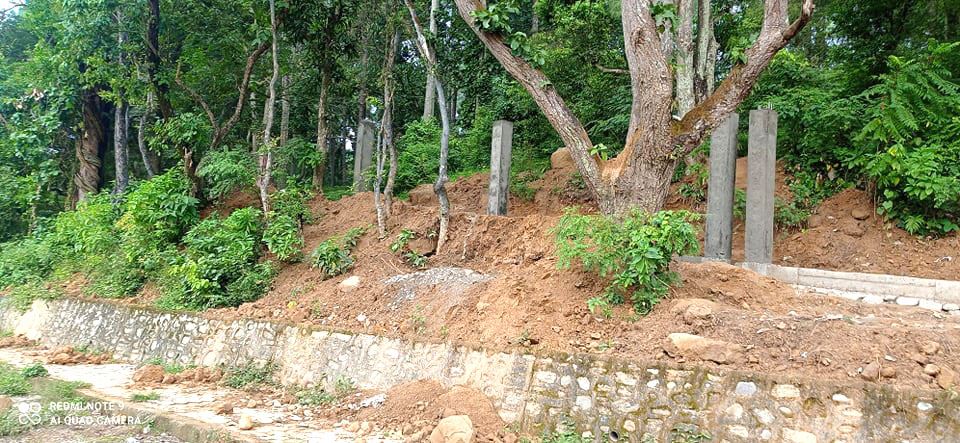 जग्गा दलाल पोस्न काँक्रेविहारको वन मास्न लागेको आरोप