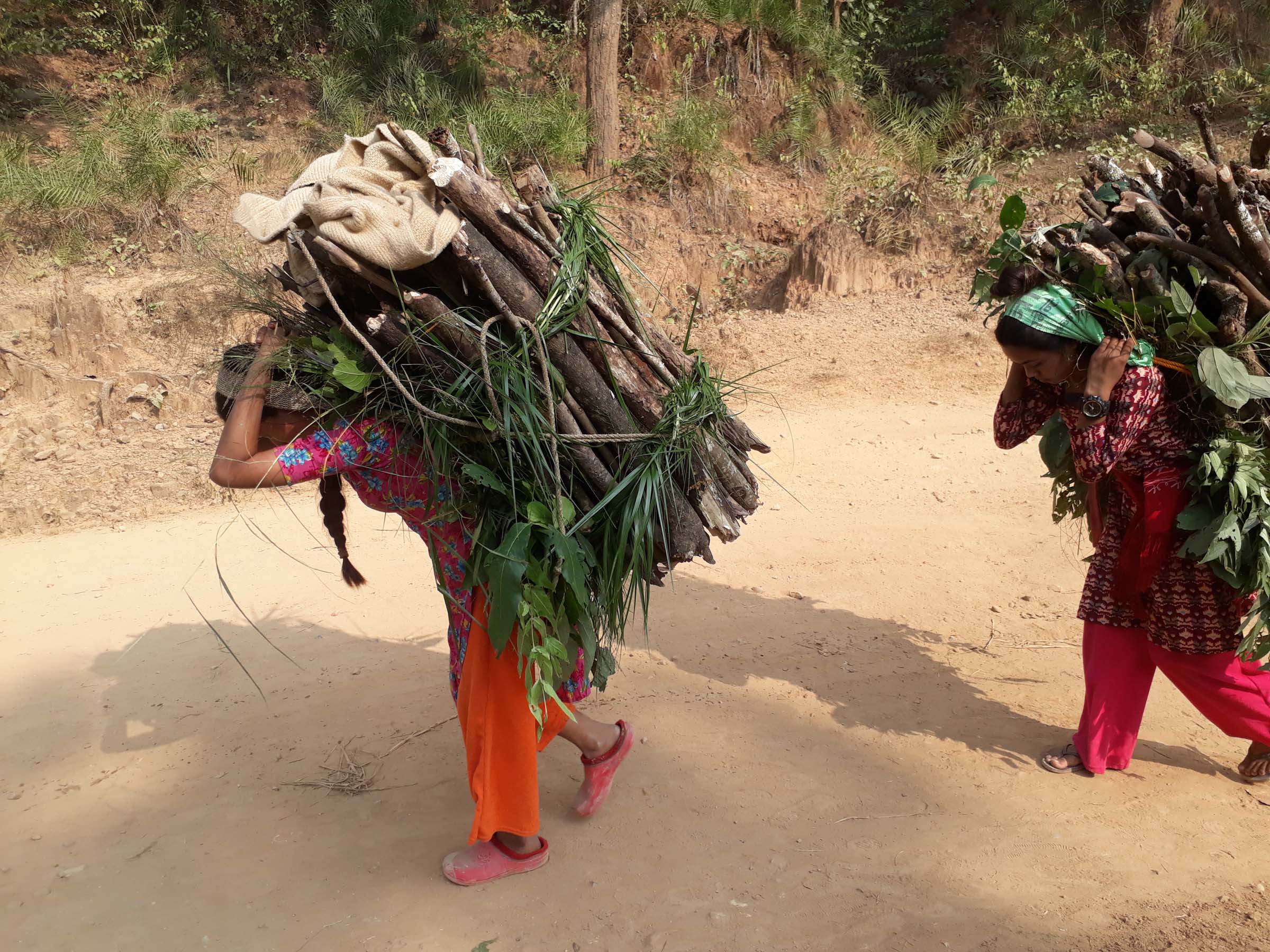 थाप्लोमा नाम्लो !