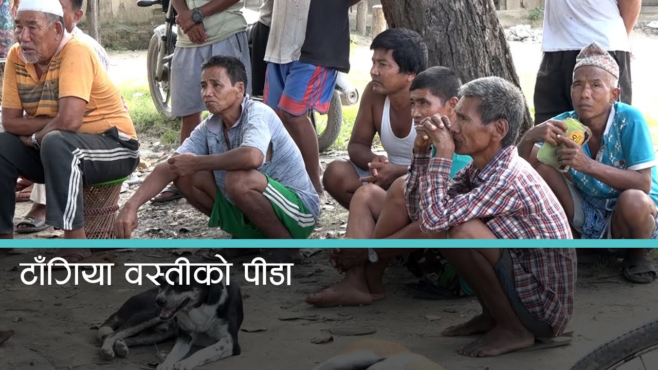निजगढ अन्तर्राष्ट्रिय विमानस्थल, टाँगियाबस्तीको पीडा कसले सुन्ने ?