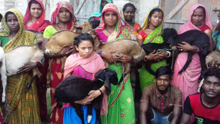 न्यून आय भएका परिवारलाई बाख्रा र बङ्गुर