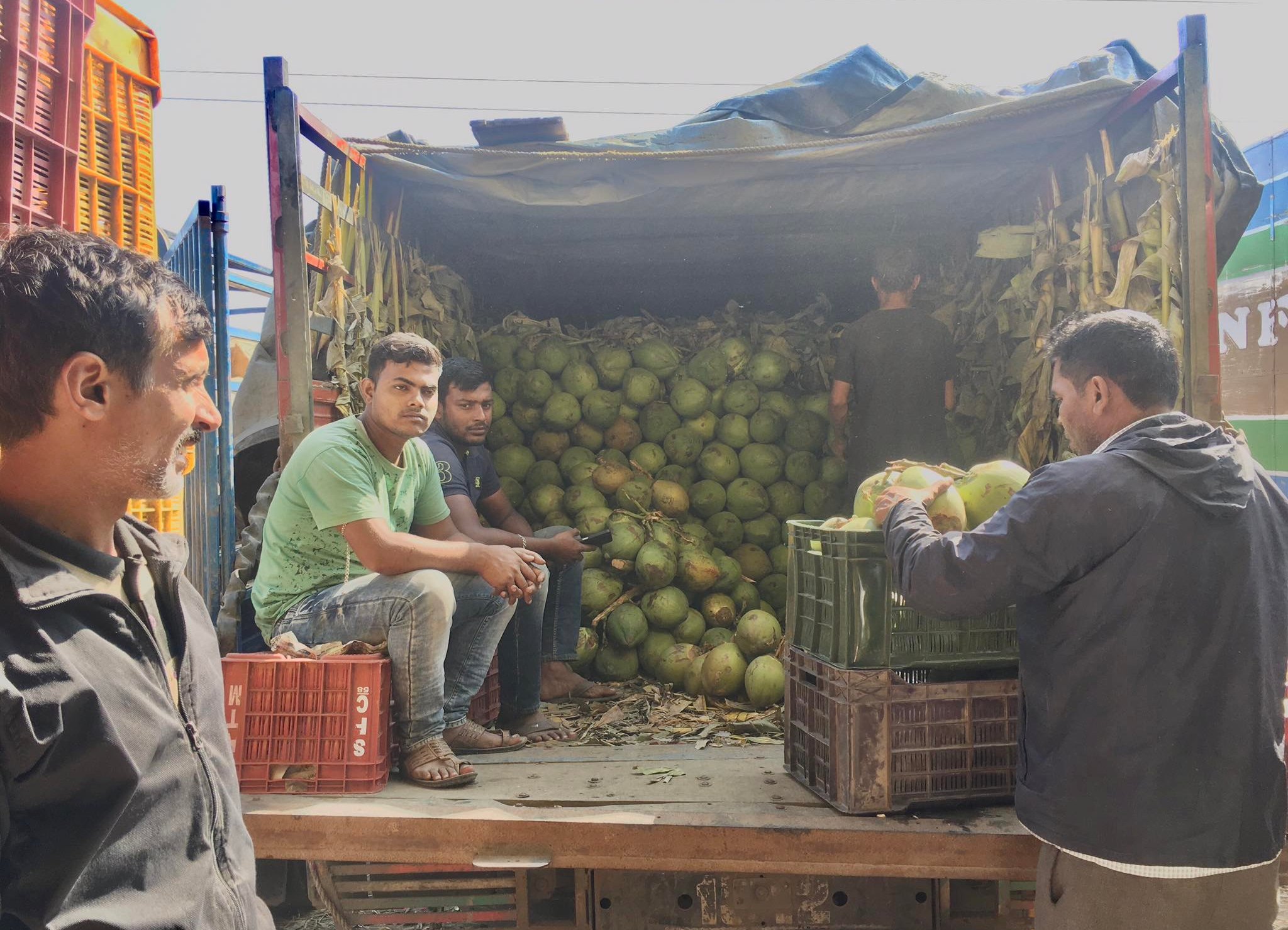 कृषिलाई महत्व भन्न छाडिएन, घरमा अझै ९० प्रतिशत फलफुल बिदेशी !