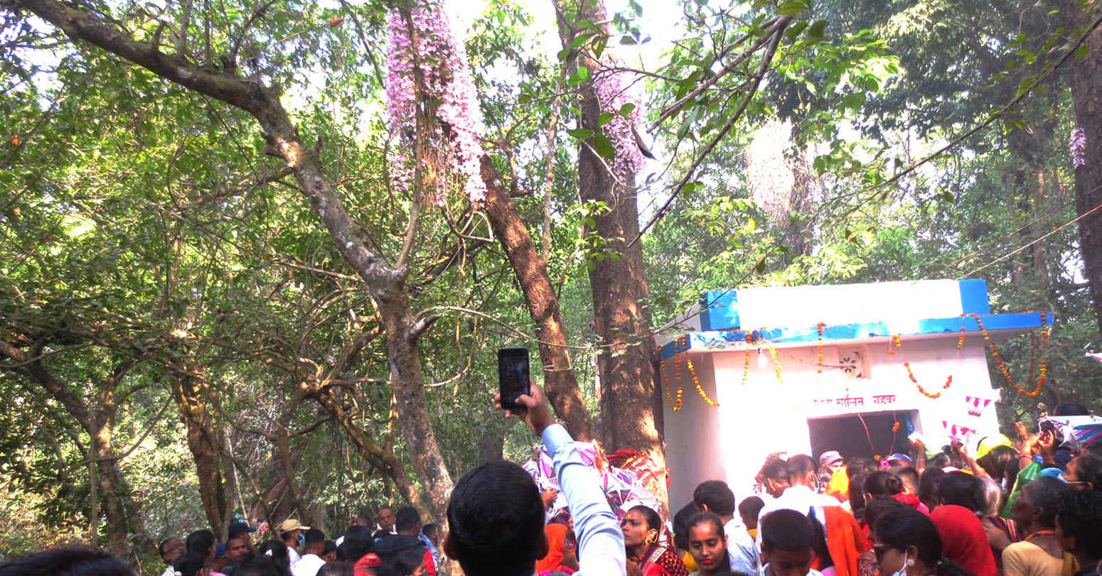 नयाँ वर्षको दिन मात्रै फुल्ने फुल !