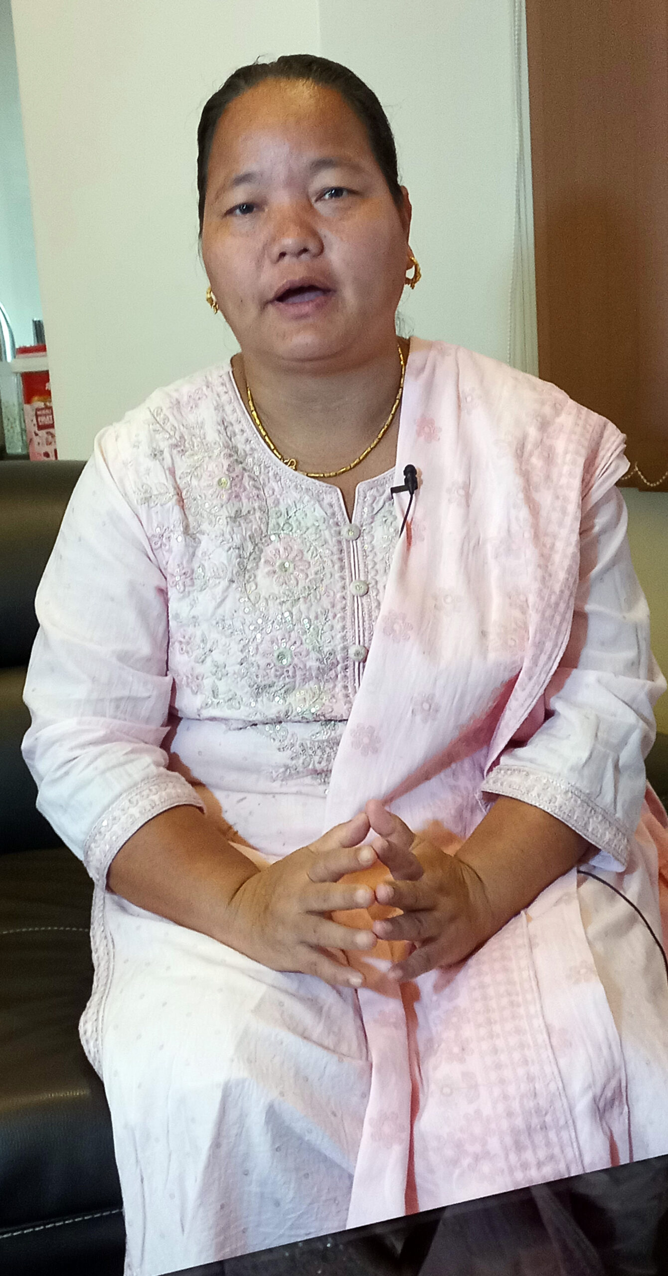 संविधान दिवस– निर्वाचन र शासकीय प्रणाली फेर्नैपर्छ : पूर्वसभामुख घर्ती