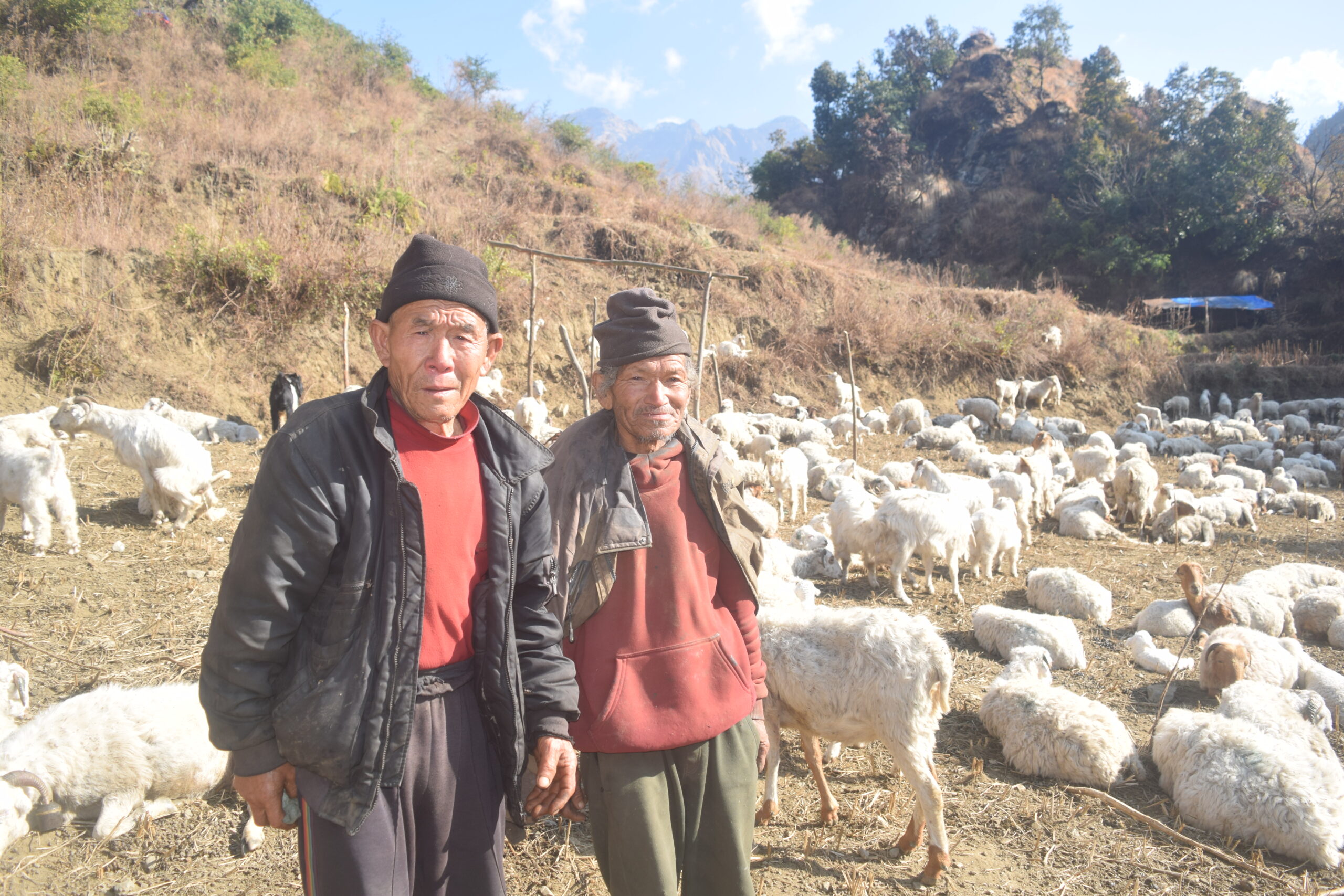 गोठमै मितेरी साइनो लगाउँदा…