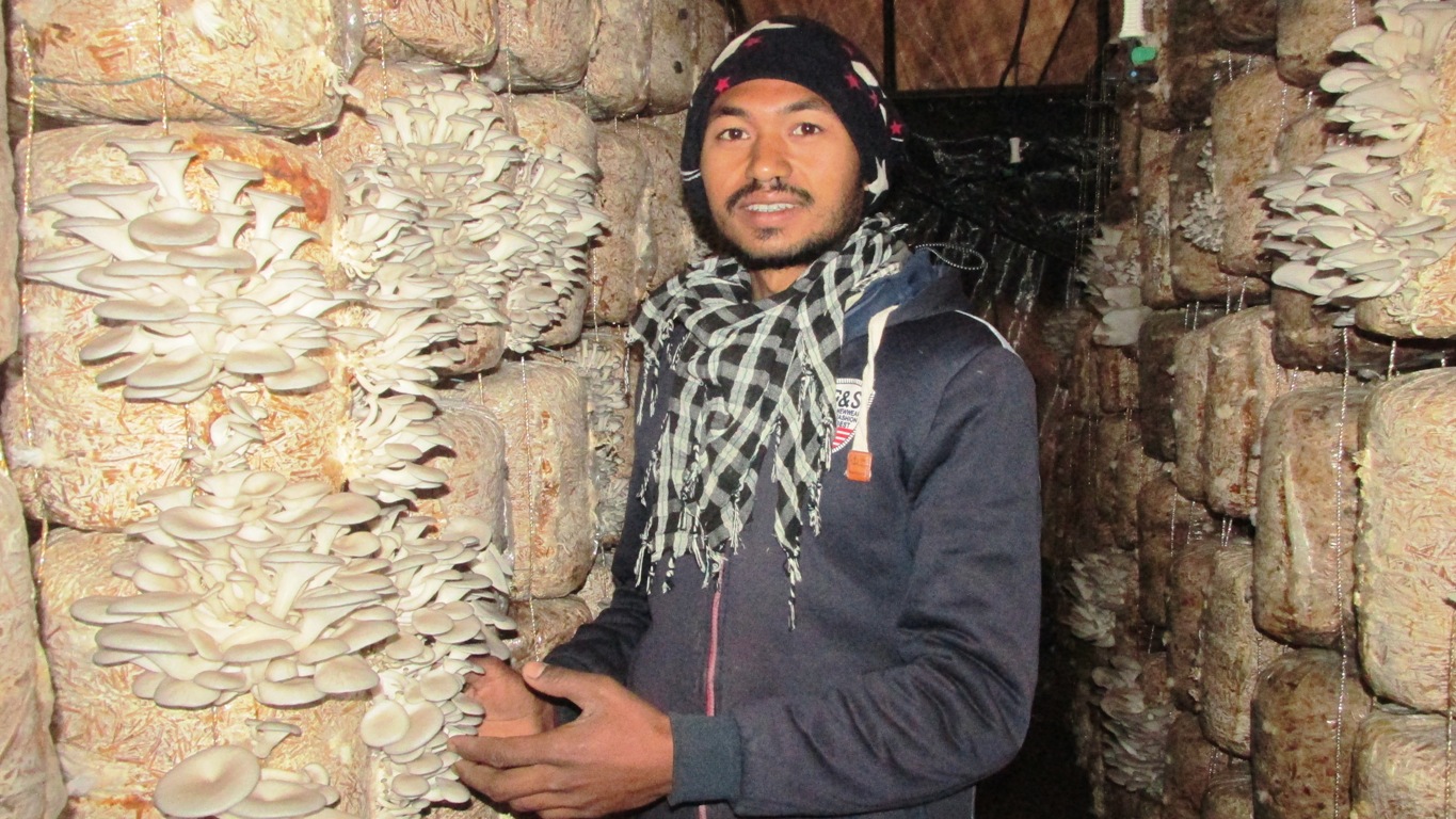 च्याउ खेतीमा जमेका वीरबहादुर