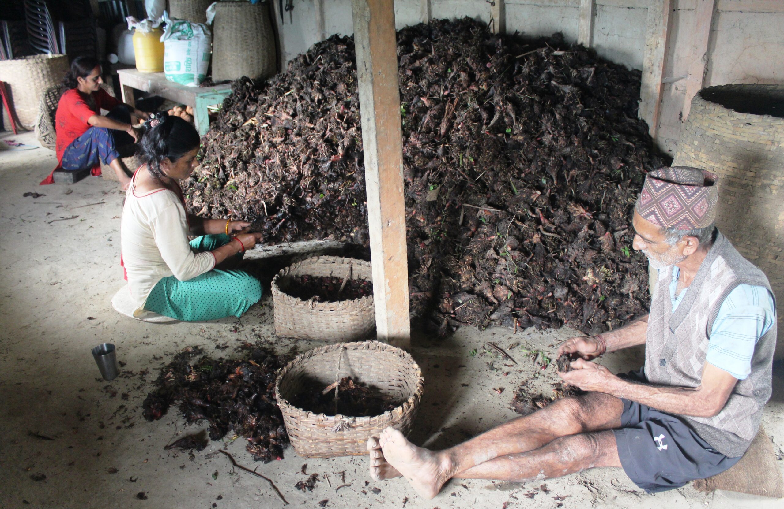 अलैँचीको भाउ तेब्बर बढ्यो, प्रतिमन रु ८५ हजारसम्म बिक्री
