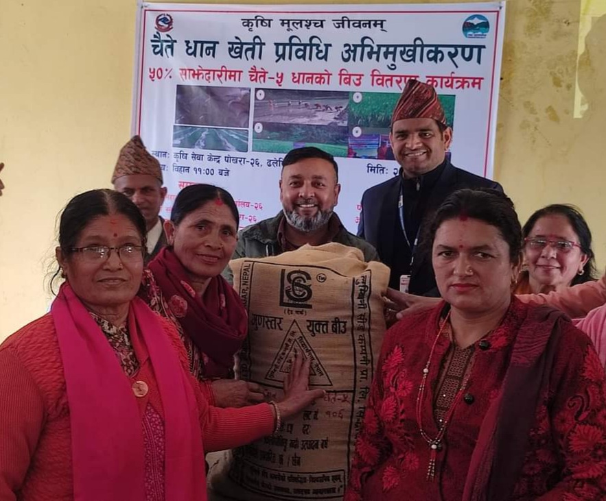 चैते धानको प्रवर्द्धनमार्फत खाद्यान्नमा आत्मनिर्भरता बढाउँदै पोखरा महानगर