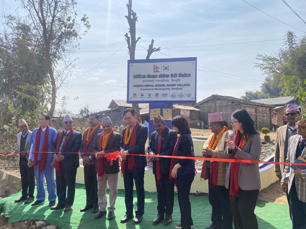 कोरिया–नेपाल मोडेल डेरी भिलेज उद्घाटन, होलिस्टाइन जातको बाच्छी हस्तान्तरण