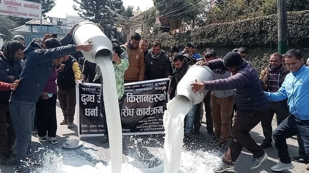 सरकार र दुग्ध किशानबीच सहमति, आन्दोलन फिर्ता