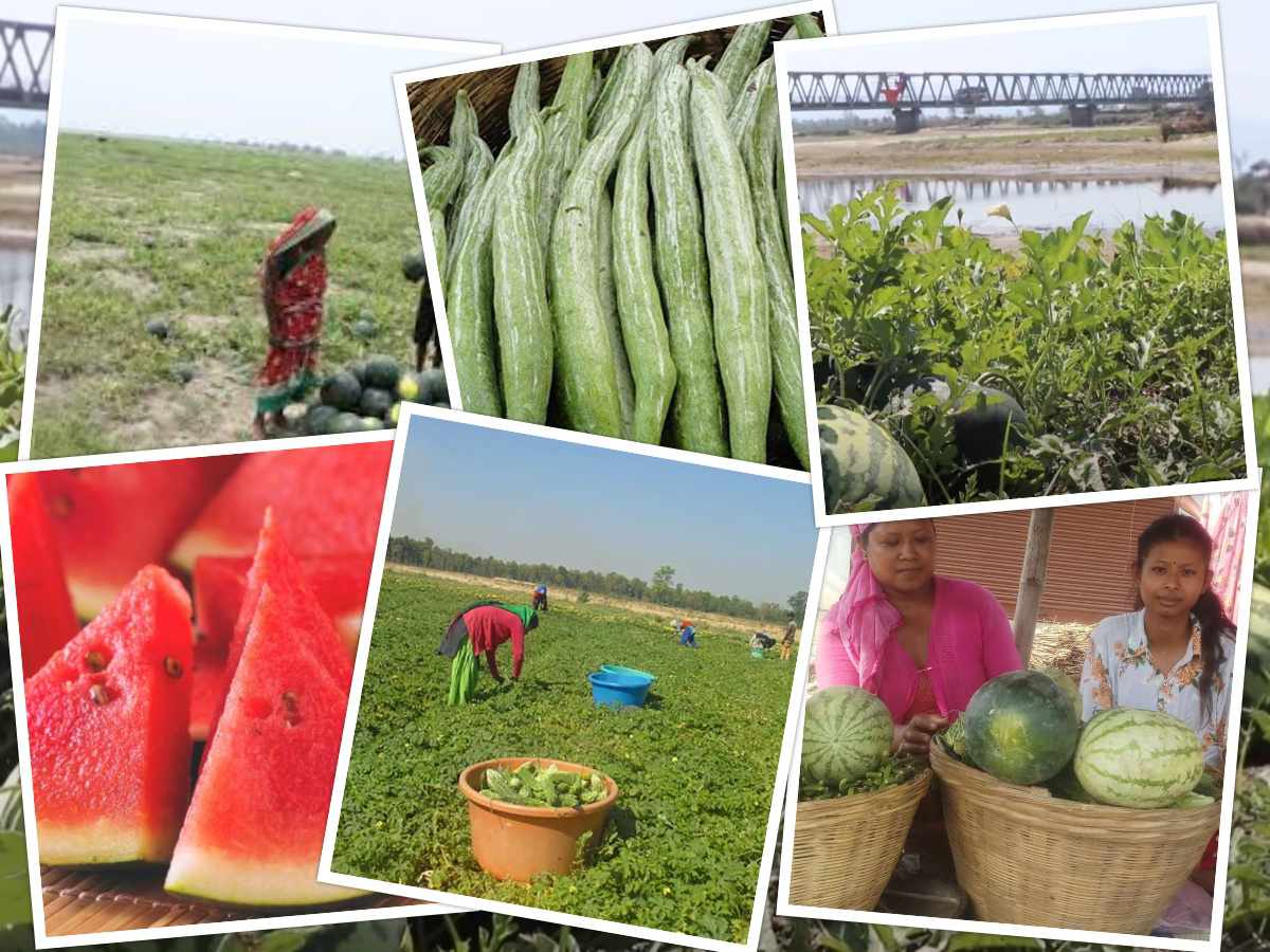 बगरखेतीबाटै मनग्य कमाउँछन् स्थानीय
