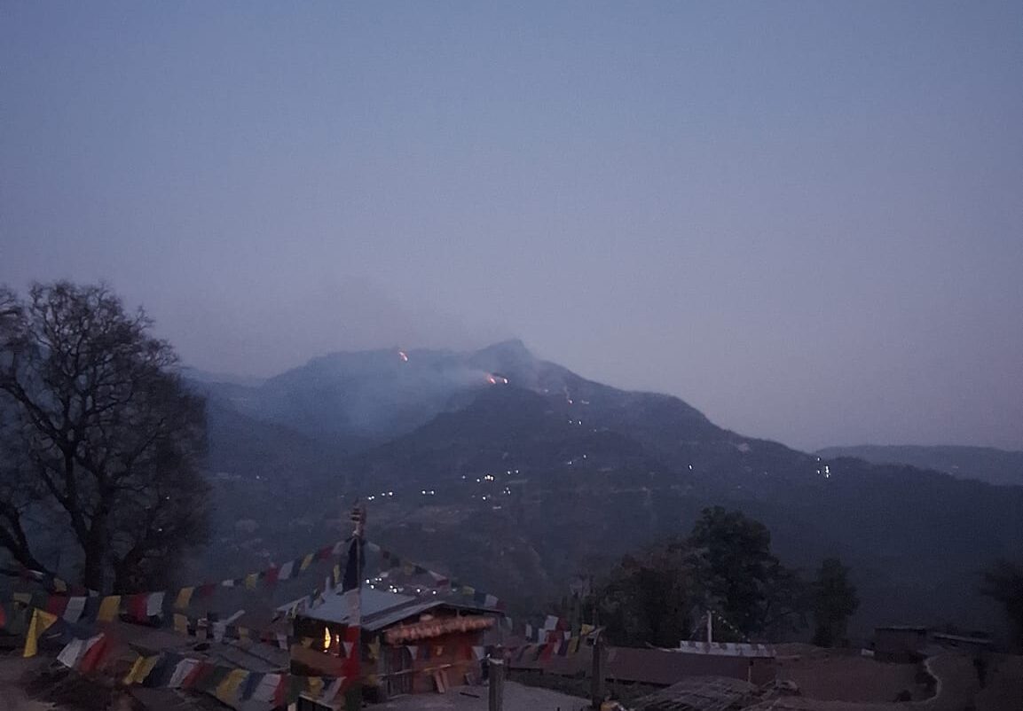 शैलुङ जंगल : पाँचौं दिन पनि जलिरहेछ