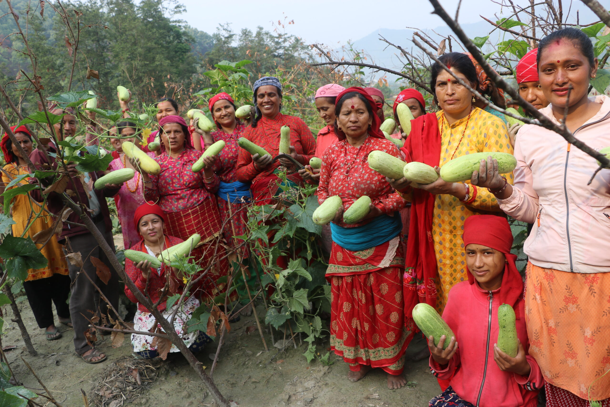 सामूहिक कृषिमा महिलाको आकर्षण बढ्दो