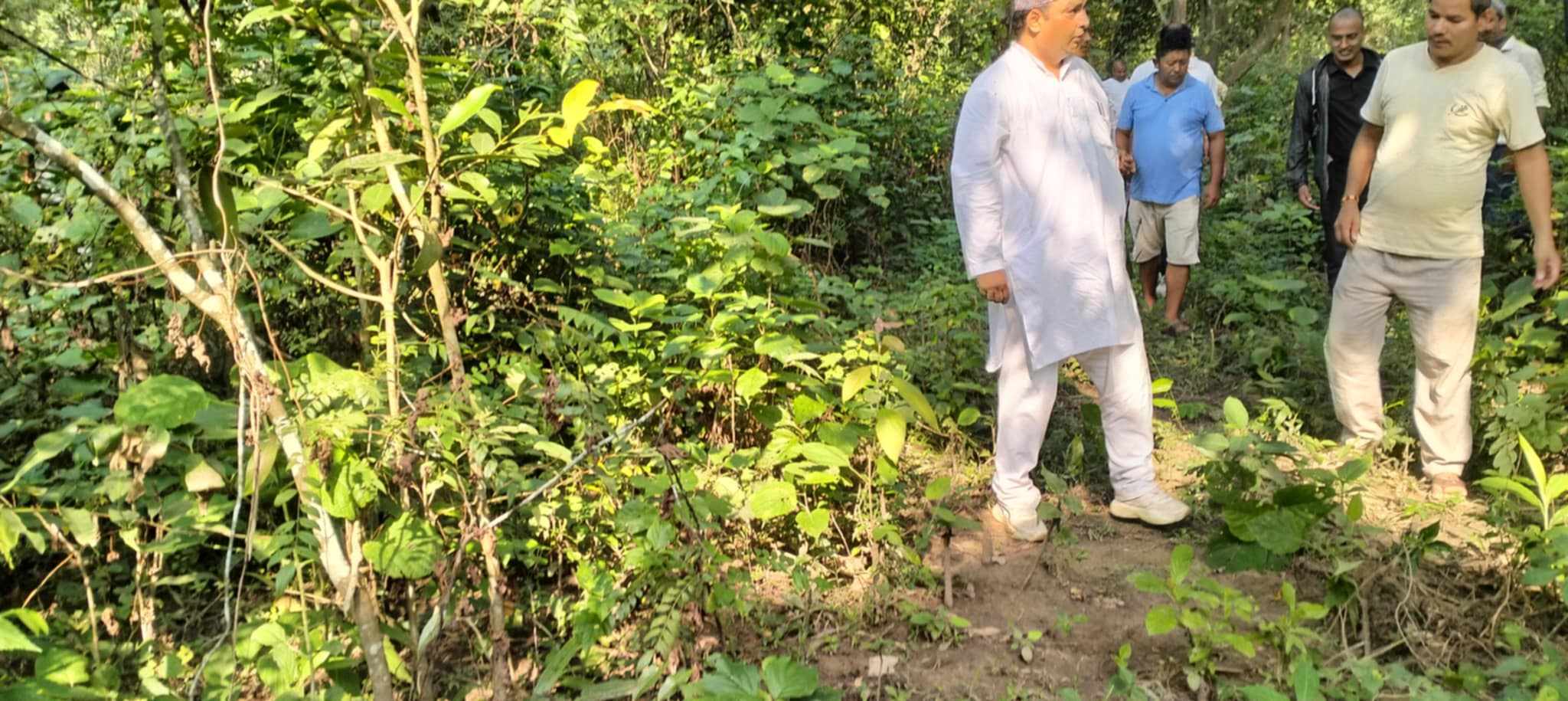 कृष्णपुर स्थानीय सरकारको मल्टिप्रपोज योजना ऐश्वर्य सामुदायिक वनमा बेलदेखि चिउरी फलफुल खेती