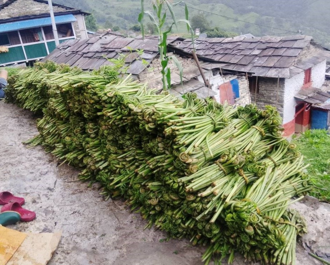 घरखर्च चलाउने आम्दानी बन्न थाल्यो निहुरो