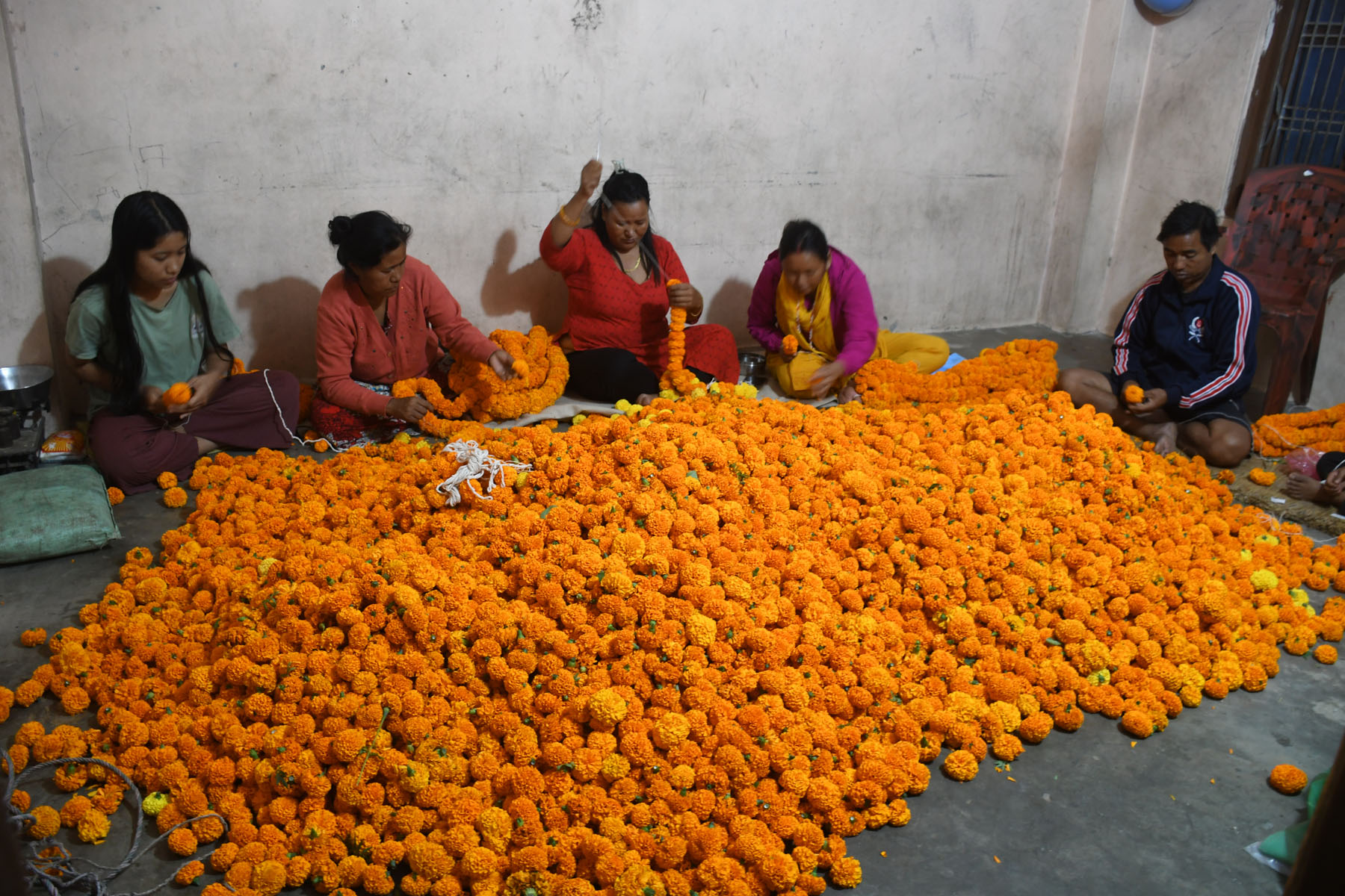 तिहारका लागि सयपत्री फूलको माला उन्दै !