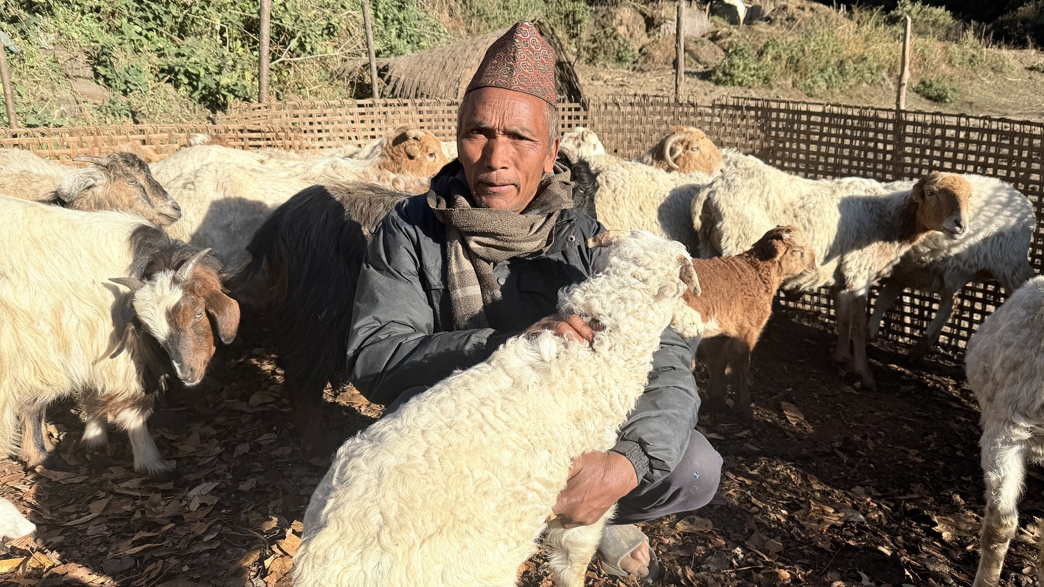 भेडागोठमा पाँच दशक बिताएका नरेन्द्रलाई पढ्न नपाएकामा पछुतो