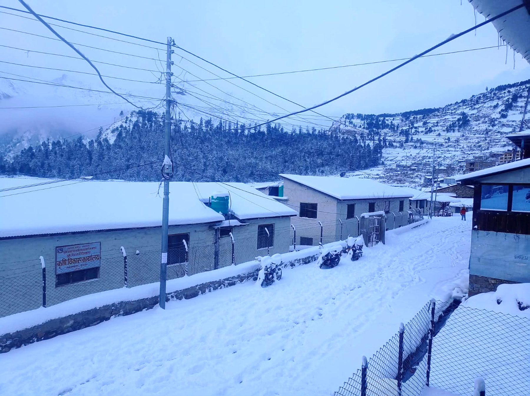 पहाडी तथा हिमाली जिल्लाहरुमा भारी हिमपात ( तस्वीरहरु )