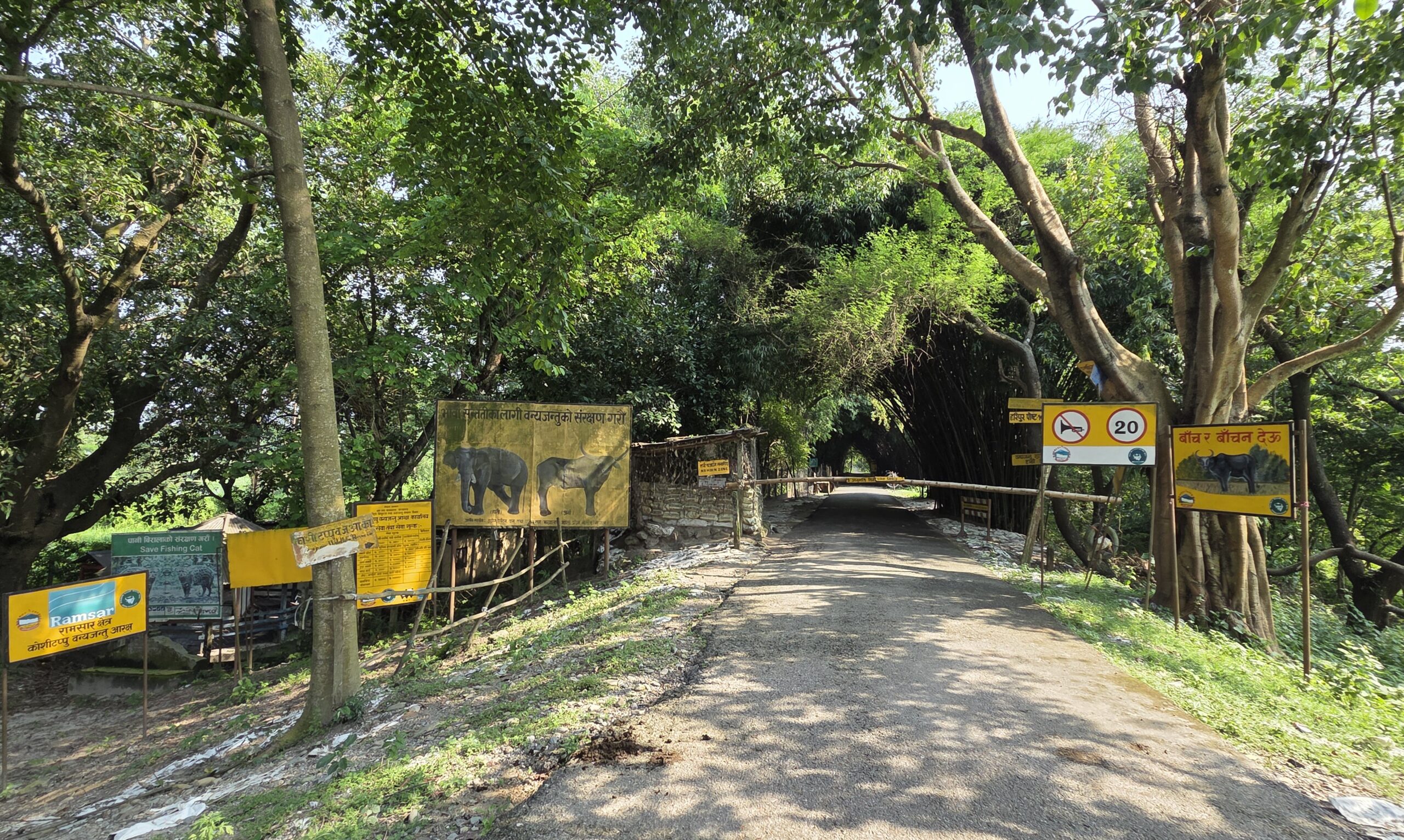 आलेखः कोशी टप्पुमा पर्यटनको बढ्दो सम्भावना