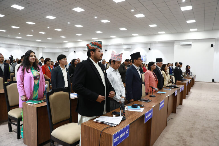 प्रतिनिधिसभाः आर्थिक कूटनीति, सौम्य शक्ति प्रवर्द्धन प्राथमिकतामा