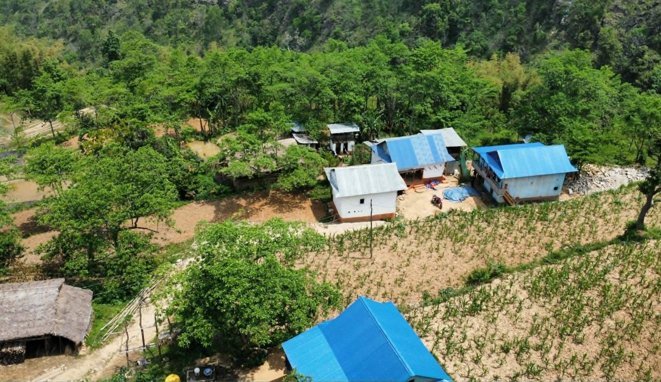 व्यावसायिक रुद्राक्ष खेतीबाट राम्रो आम्दानी गर्दै मैदानेका किसान