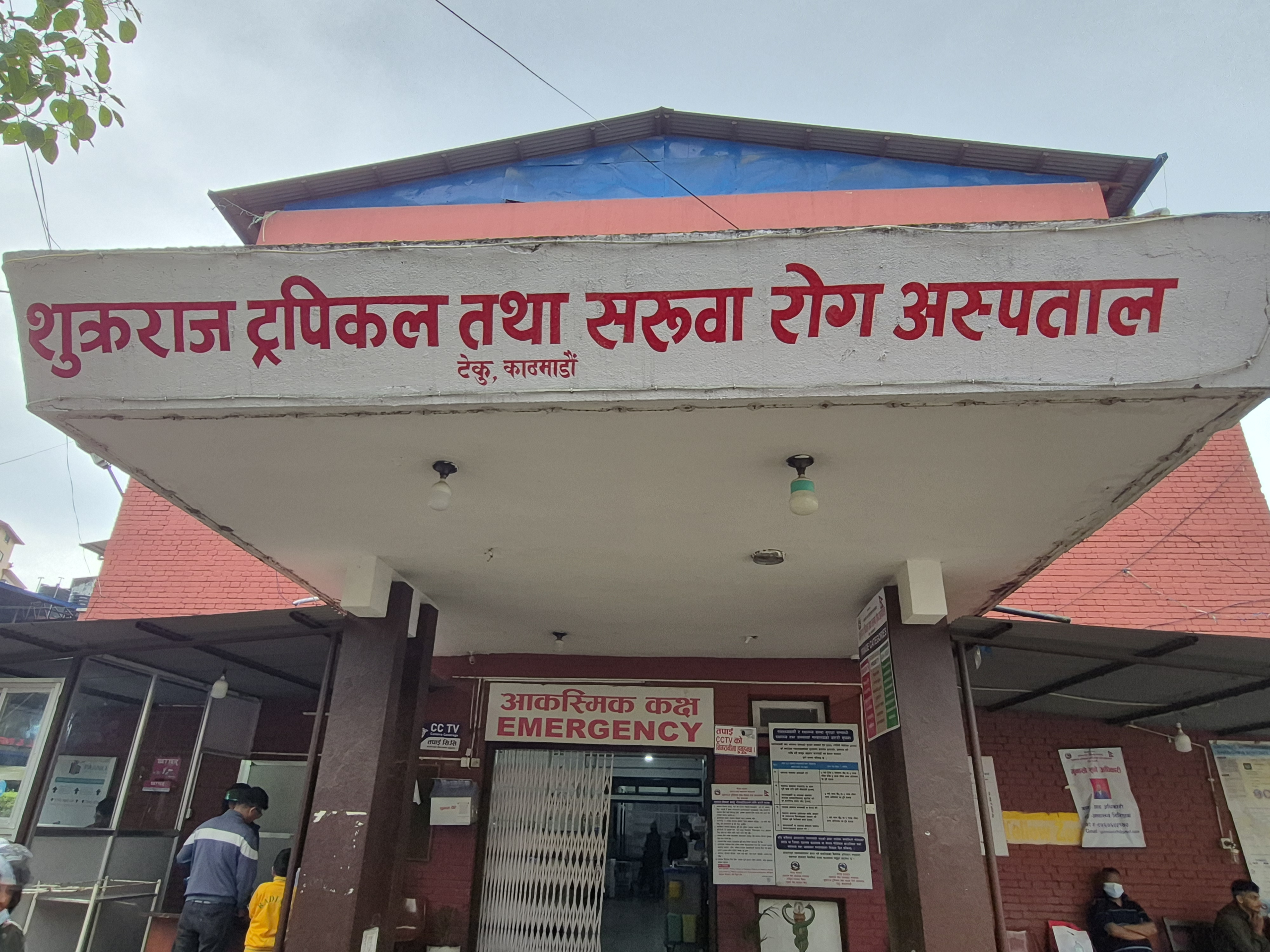 किन बढ्छ मनसुनजन्य रोगको जोखिम ?