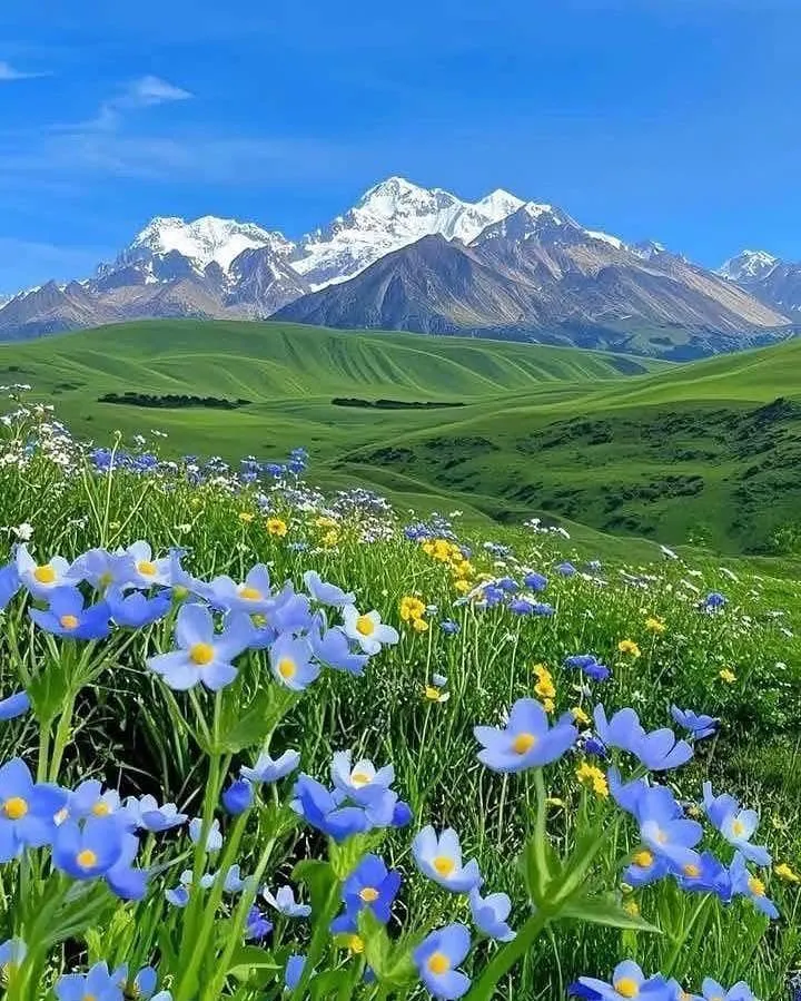 बडीमालिकामा टेलिफोन र इन्टरनेट विस्तारका लागि हेलिकप्टरबाट उपकरण ढुवानी: ५ दिनभित्र ४जी सेवा सञ्चालन हुने
