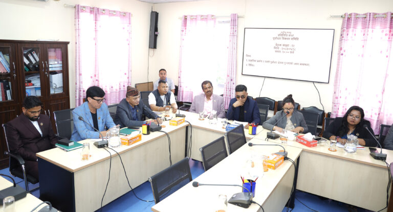 संसदीय समितिद्वारा सुरुङमा फसेकाको उद्धारमा प्राथमिकता दिन निर्देशन