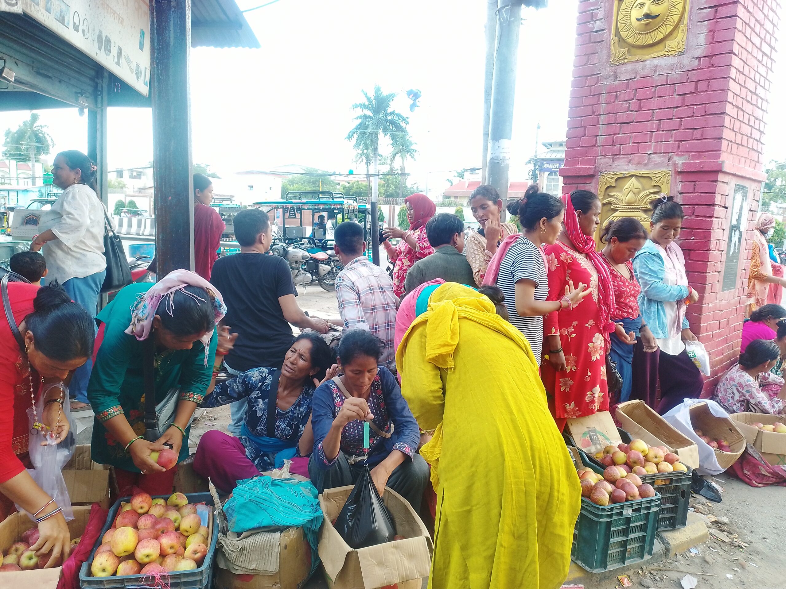 तीजको कोसेलीः कर्णालीको स्याउ