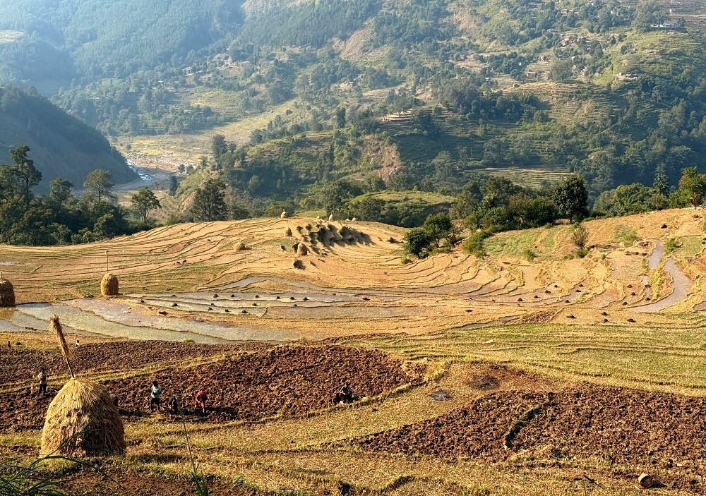 माटोमा अम्लीयपन बढ्दै, उत्पादन घट्ने जोखिम