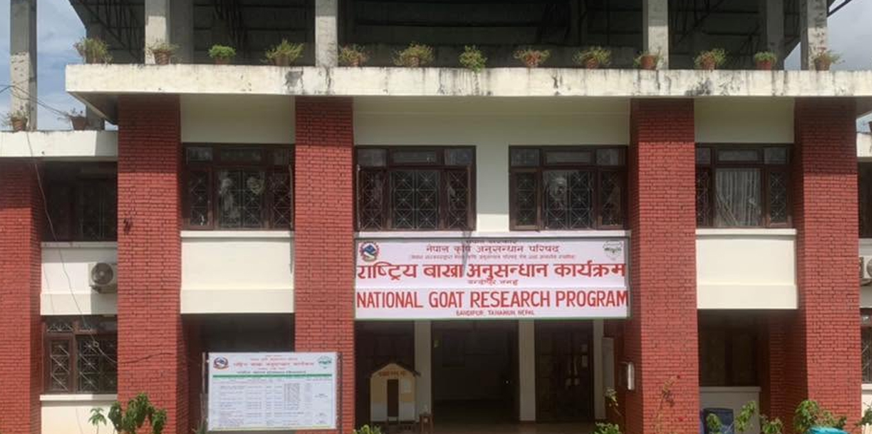 राष्ट्रिय बाख्रा अनुसन्धान कार्यक्रमको स्रोत सामग्री उत्पादन लक्ष्यभन्दा बढी